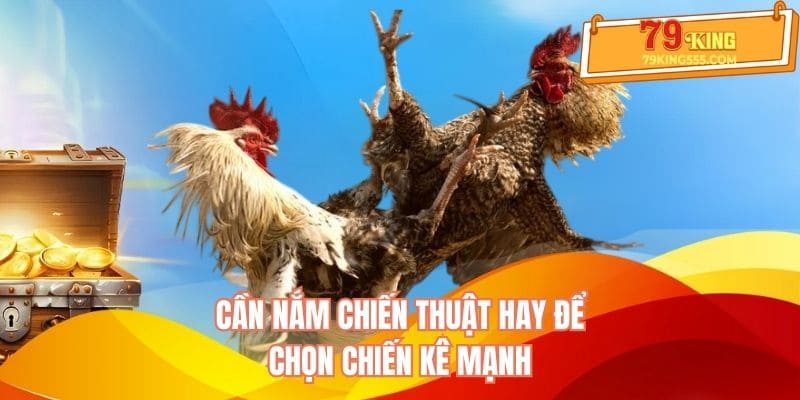 Cần nắm chiến thuật hay để chọn chiến kê mạnh